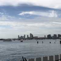 An Enchanting Journey through the Vibrant Del