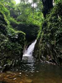 เดินป่า one day trip น้ำตกโกรกอีดก