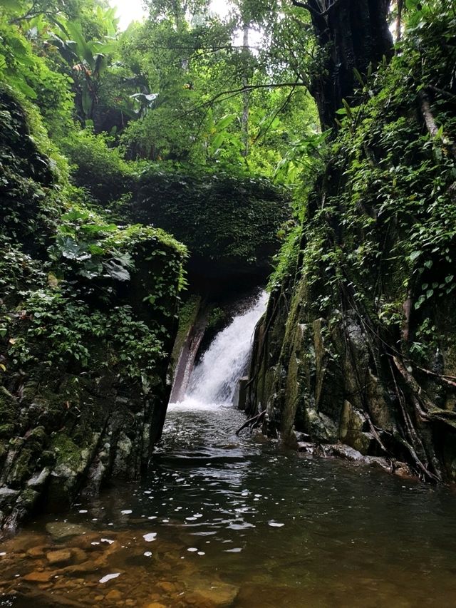 เดินป่า one day trip น้ำตกโกรกอีดก