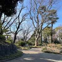 【港の見える丘公園】元町側から入ってゆっくり散歩
