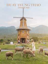 มุมถ่ายรูปฟีลเมืองนอก 🐑 ทุ่งเลี้ยงแกะห้วยตึงเฒ่า 