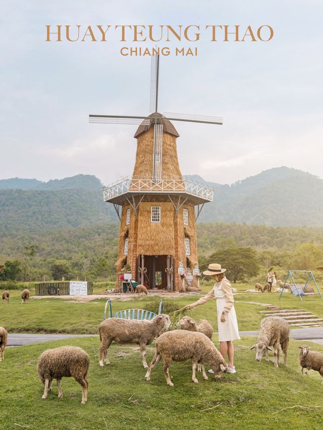 มุมถ่ายรูปฟีลเมืองนอก 🐑 ทุ่งเลี้ยงแกะห้วยตึงเฒ่า 