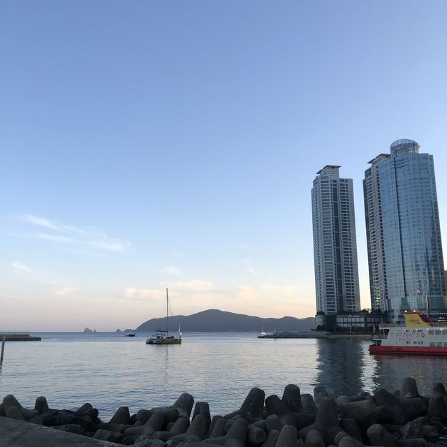 해운대 경치를 만끽할 수 있는, 동백공원