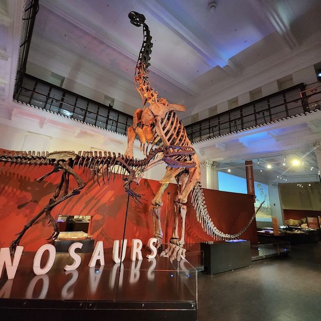 Great Display of Dinosaurs 