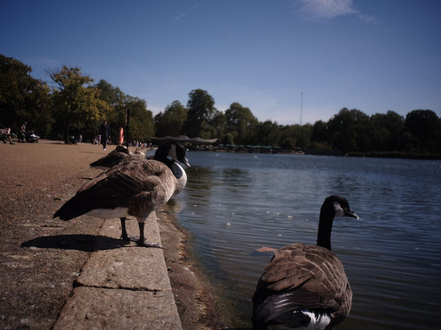 旅程最後一天—倫敦巿內遊 The last day in London
