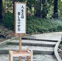 追尋神秘！白浜神社的神聖之境！⛩️🌊🙏