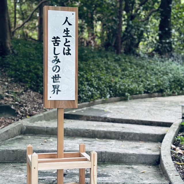 追尋神秘！白浜神社的神聖之境！⛩️🌊🙏