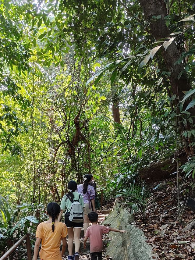 Tanjung Tuan Recreational Forest ✨