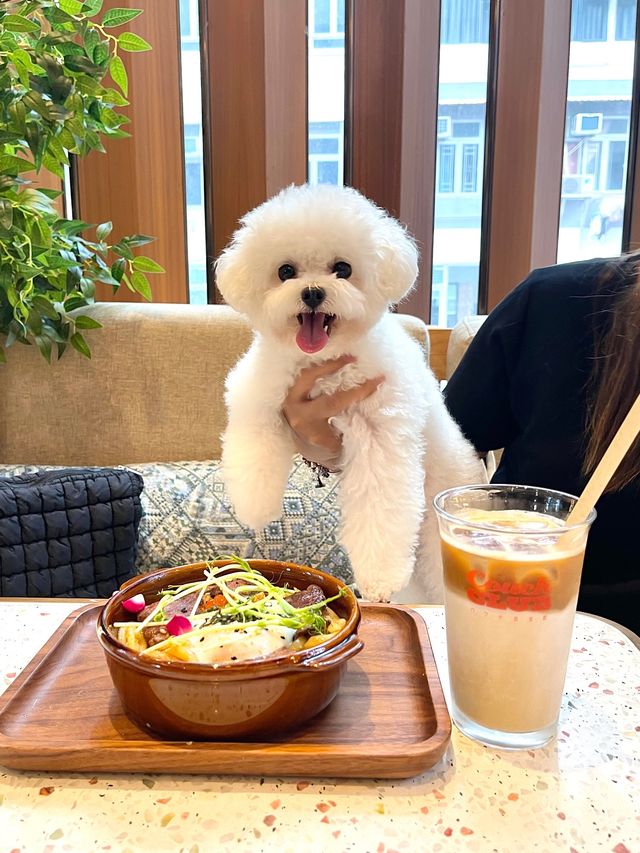 香港銅鑼灣復古風寵物友善咖啡店-Couch Club