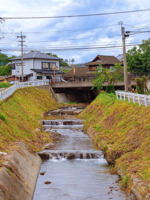 由布院🇯🇵一日觀光路線推介｜湯之坪街道