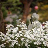 Beautiful Autumn of Yeongpyeongsa Temple 