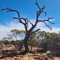 征服紅色巨石❤️Ayers Rock🌅🏜️🌄