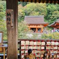 The Beautiful Kiyomizu Dera Temple 