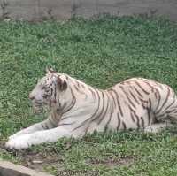 馬尼拉動植物園