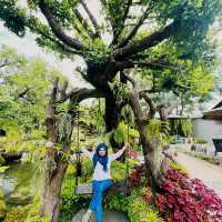The Tall  Trees  คาเฟ เกาใจ