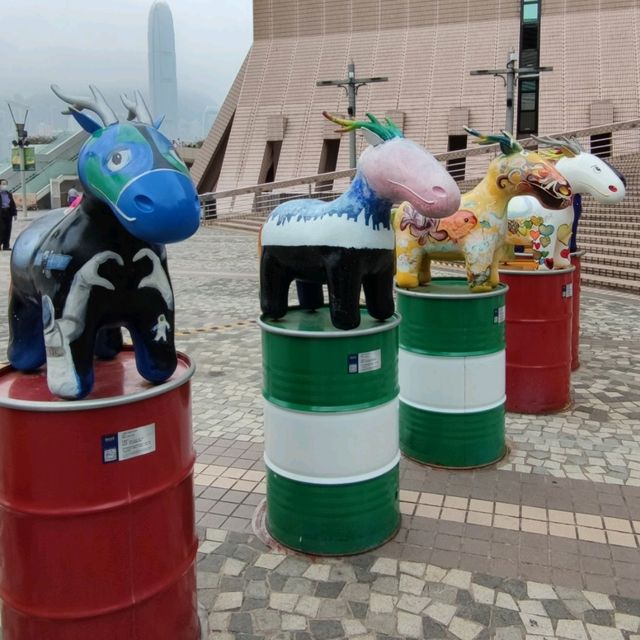 神獸龍馬~兔年新春~遊香港👏