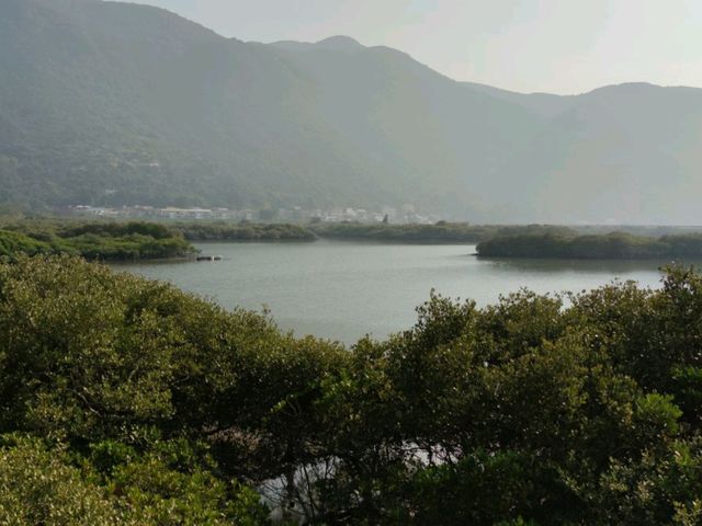 大澳虎山,風光明媚,景觀一流 大澳虎山,風光明媚,景觀一流