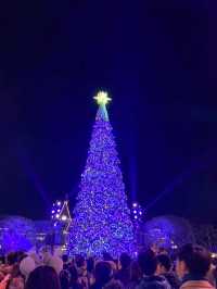 Magical Night at the Magical Place! 
