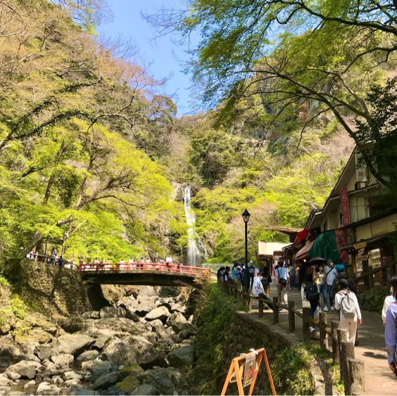 大阪で絶景の自然の中をハイキング【箕面大滝】