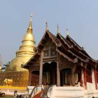 วัดพระสิงห์วรมหาวิหาร วัดประจำปีเกิด ปีมะโรง