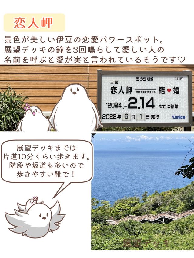 【静岡】西伊豆観光スポット4選