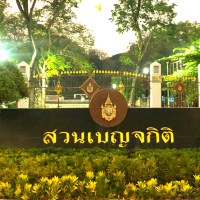 🏞️ปอดกลางกรุง