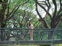 ชวนเดินชิล สวนป่ากลางกรุง ฟีลเมืองนอก