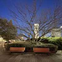 夜景がすごい！横浜みなとみらい