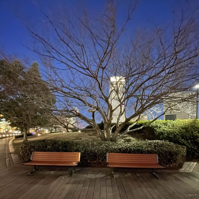 夜景がすごい！横浜みなとみらい