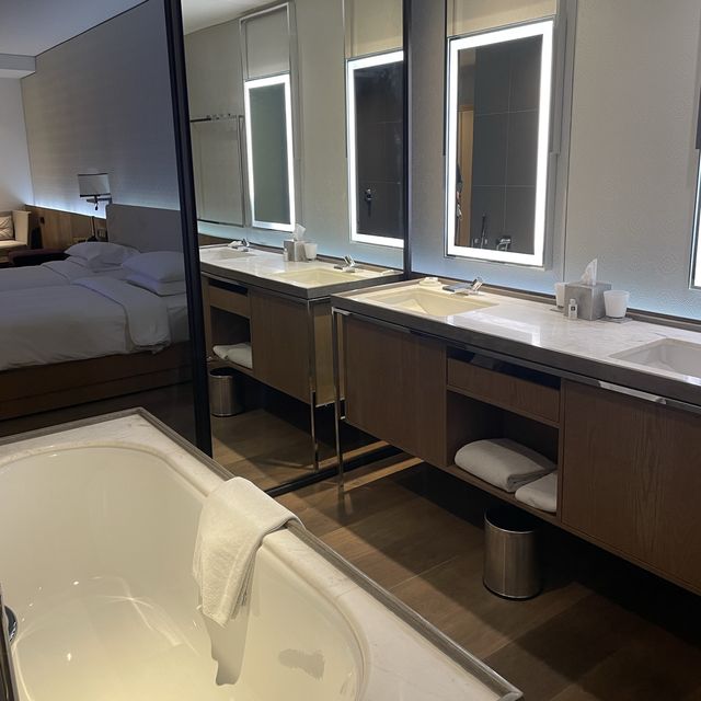 BEST HOTEL IN Delhi 🇮🇳 Andaz Hotel Aerocity