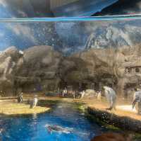 海洋公園：南極奇觀