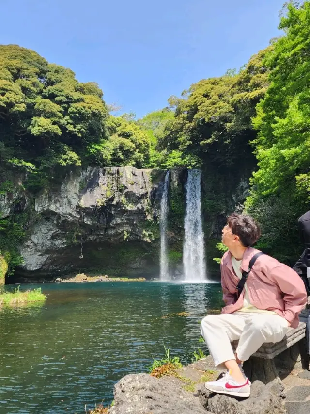 서귀포 힐링 산책길 천연기념물 천지연폭포💧