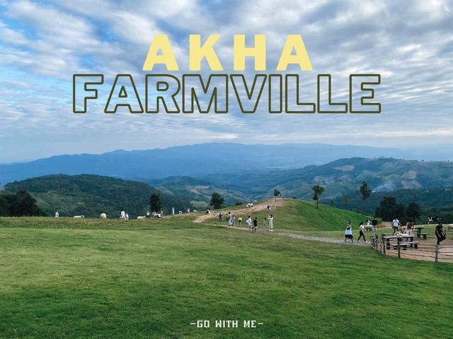 Akha Farmville ฟาร์มแกะดอยช้าง