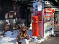  นิกโก (Nikko 日光市)  เมืองมรดกโลก