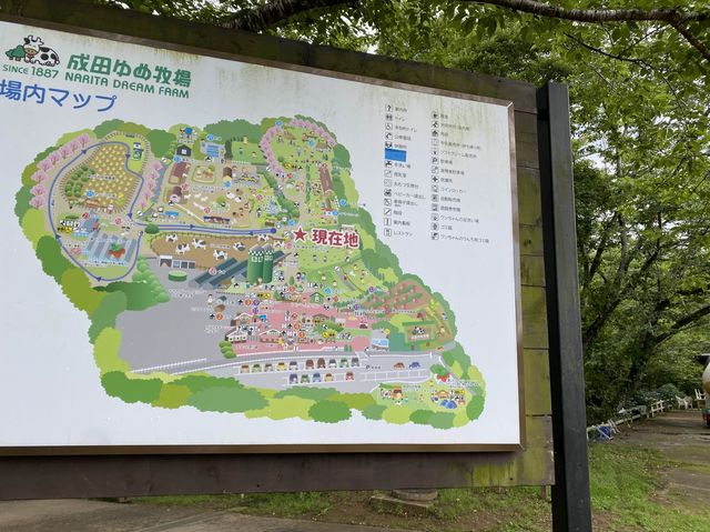 成田空港近く「成田ゆめ牧場」