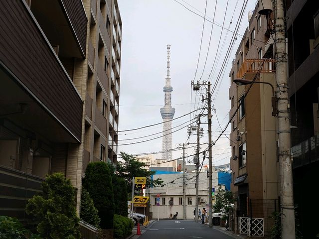 又嚟體驗了另一間Tavinos酒店 東京平玩朝住之選
