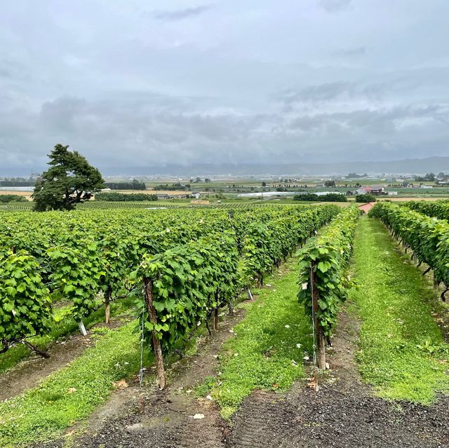 【富良野のフランス🇫🇷、カンパーナ六花亭】