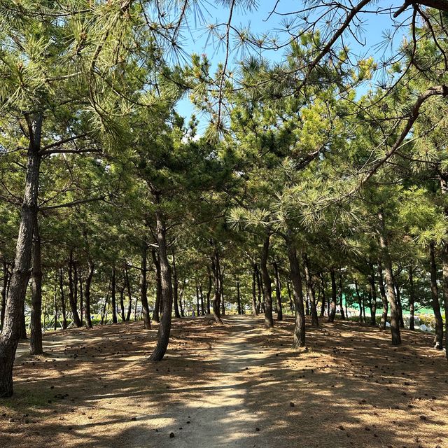 부산 다대포해수욕장 산책코스
