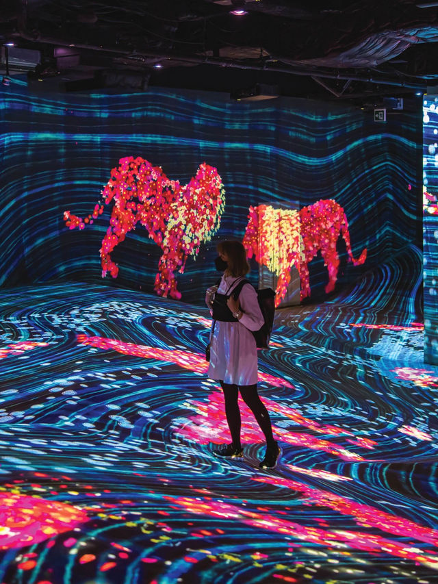 Teamlab Forest Fukuoka ดิจิตัลมิวเซียมสุดปัง📸