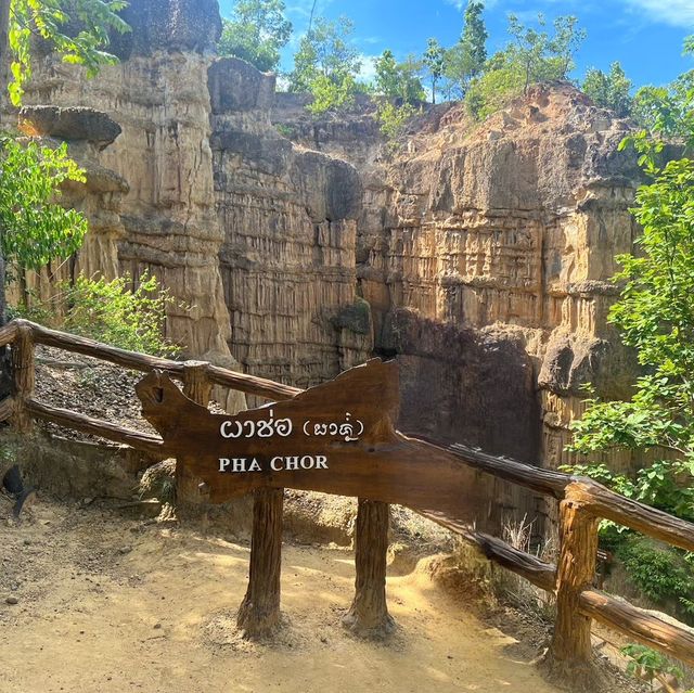 🌿⛰️เดินชมความสวยงามของธรรมชาติที่ผาช่อ🌴🌿