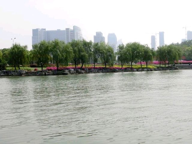 無錫蠡湖公園🏞結合傳統園林與歐式公園風格