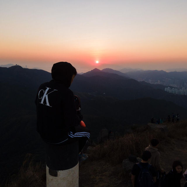 香港🇭🇰 ｜周末行山訪芒草海🌾 - 黃牛山⛰️