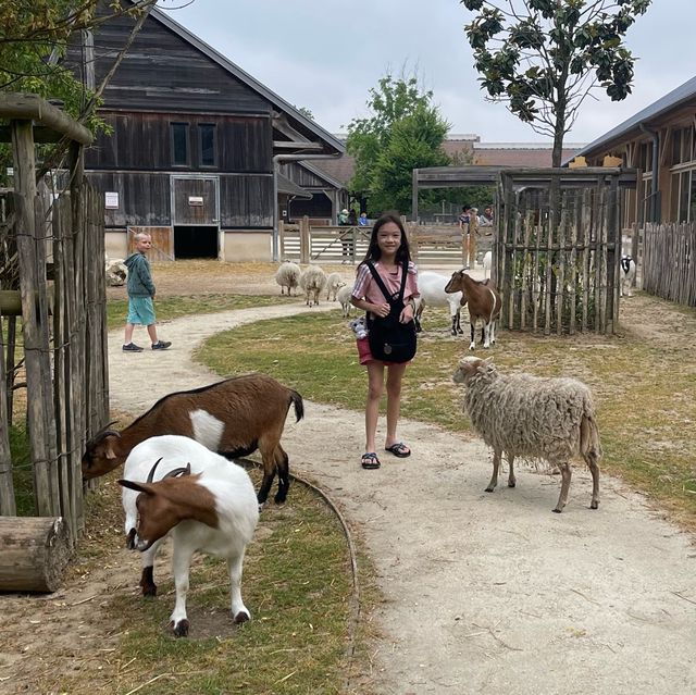 BelleVie Farm 🪿🦆🐦‍⬛