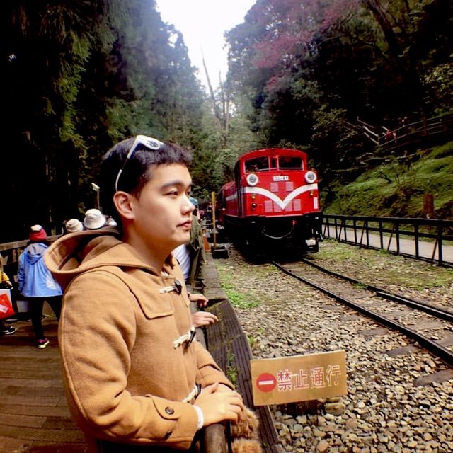  Alishan ไต้หวัน นั่งรถไฟชมธรรมชาติสวยชวนฝัน