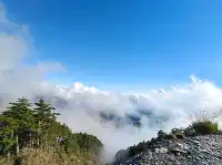 台灣百岳-南橫峭壁⛰️塔關山|（壯觀巨木林）