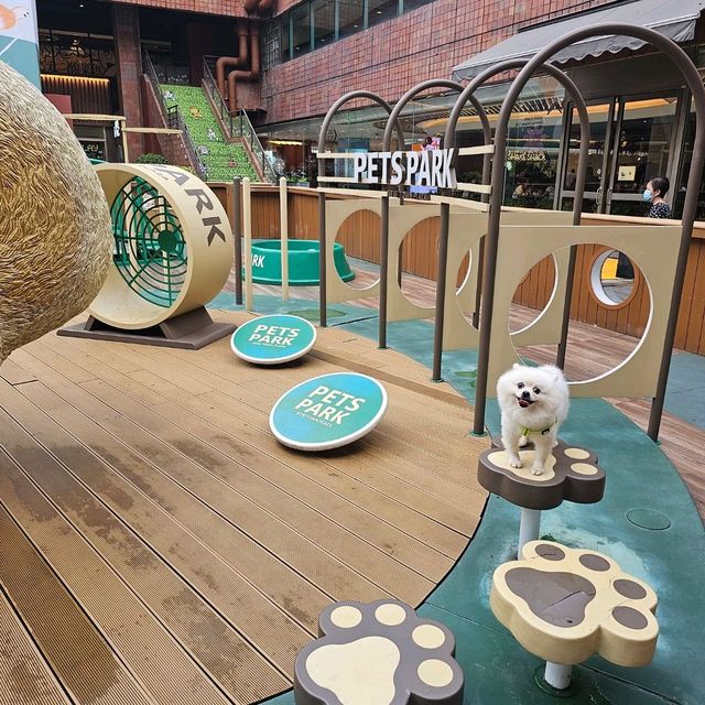 帶毛孩放電購物好地方🐶🦮🐕‍🦺🐕🐩