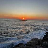  A Coastal Gem: Coogee Beach Delights