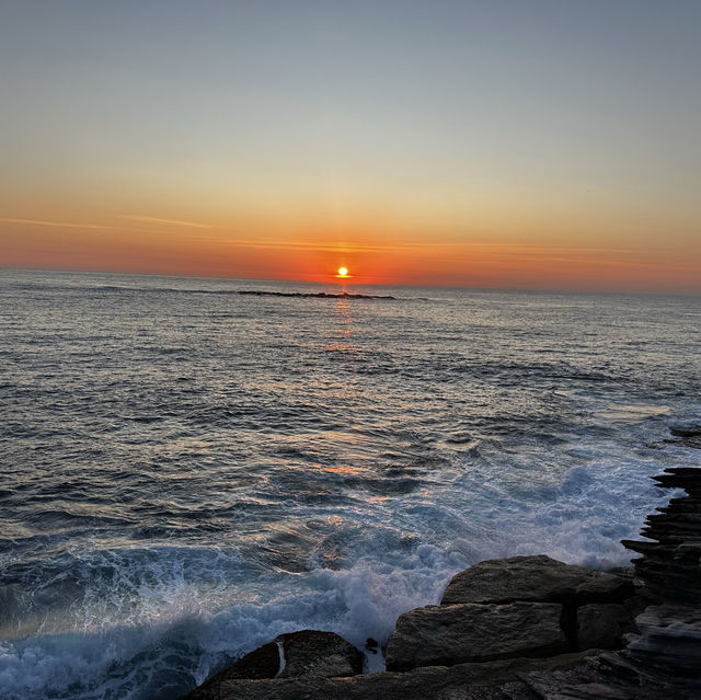  A Coastal Gem: Coogee Beach Delights