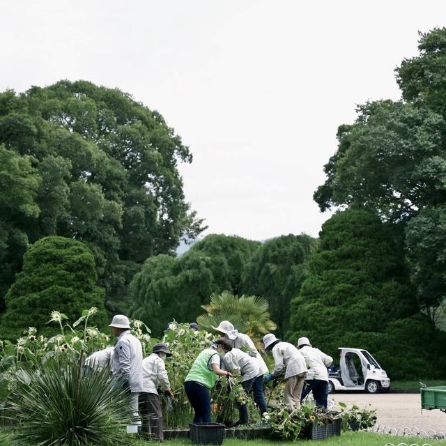 自然探險的綠洲：京都府立植物園 🌿🌺🔍