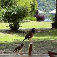 Paradise found at Tanjung Rhu Resort